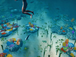 Eine Anmation zeigt den Blick durch die VR-Brille: Es Blick auf den Meeresboden mit bunten Fischen und einem farbenprächtigen Korallenriff.