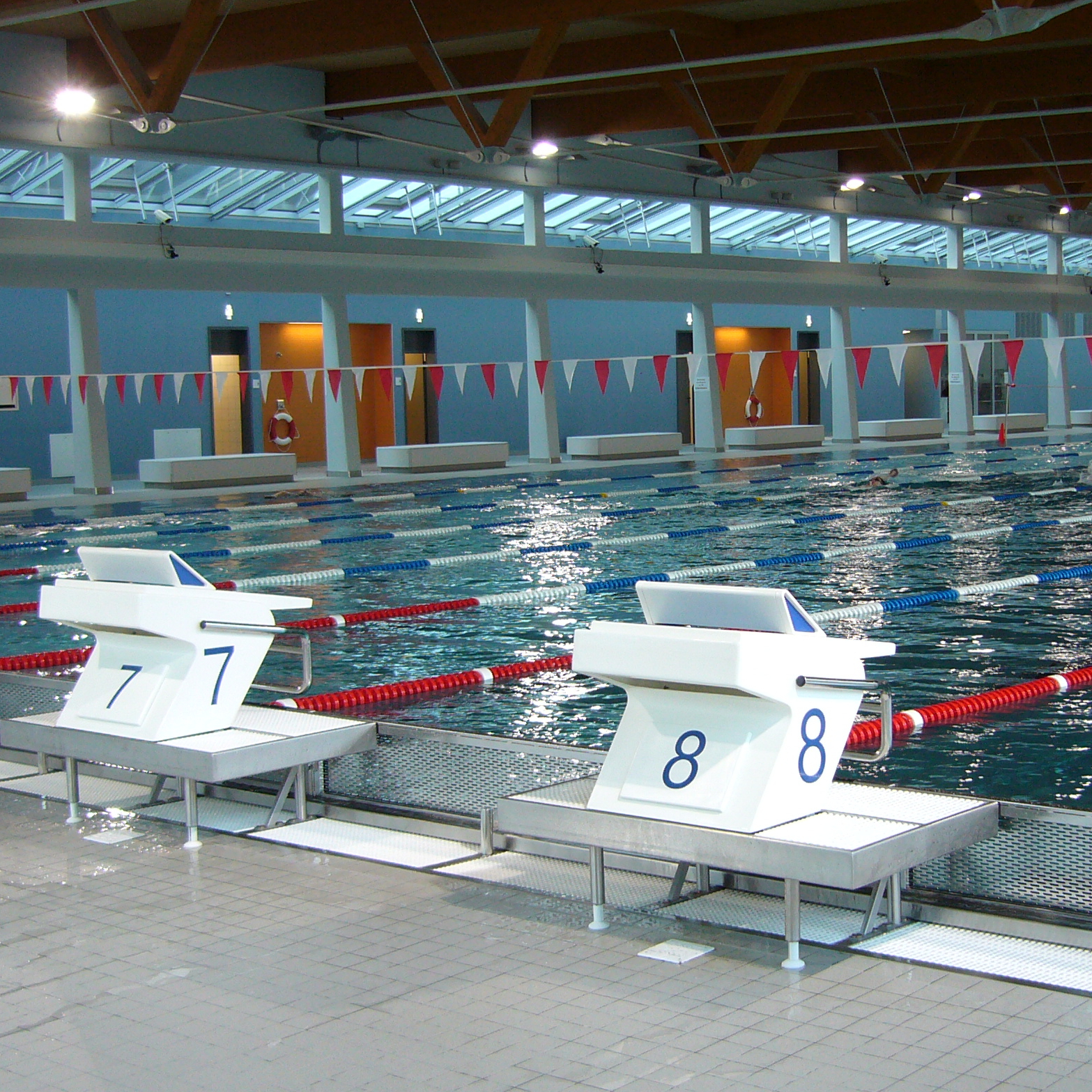 Robert Koch Schwimmhalle von innen. Im Vordergrund sind die Startblöcke mit den Nummern sieben und acht zu sehen.