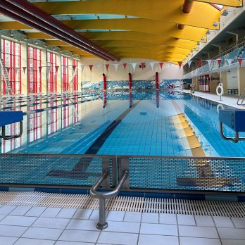 Ansicht eines Schwimmbeckens mit Startblöcken, Bahnmarkierungen und gelben Deckenbalken in einer Schwimmhalle